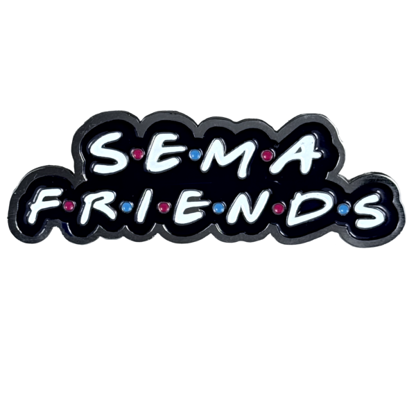 PIN FOTOGRABADO SEMAFRIENDS